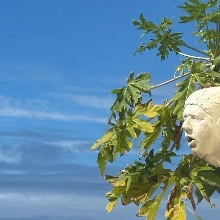 Pensionat Bela Vigia 4 Jardim do Mar