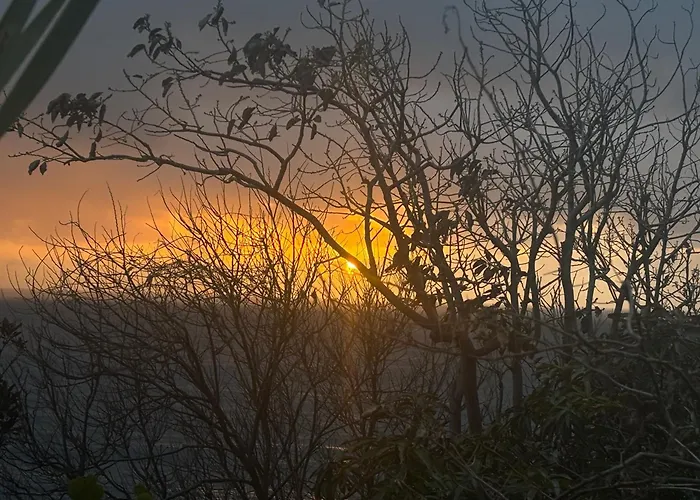 Bela Vigia 4 4* ジャルディン・ド・マール