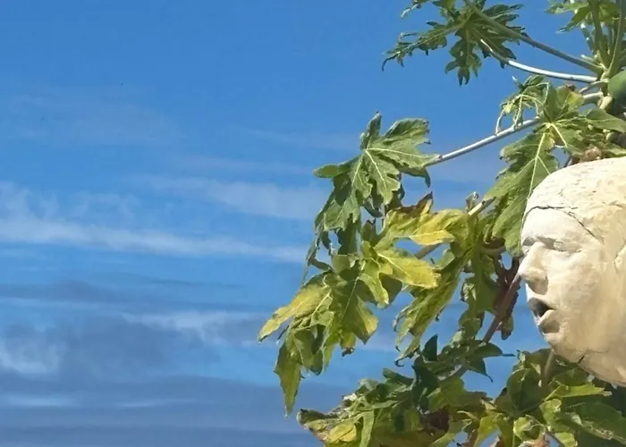 ゲストハウス Bela Vigia 4 ジャルディン・ド・マール