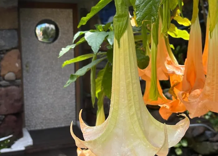 Bela Vigia 4 4* ジャルディン・ド・マール