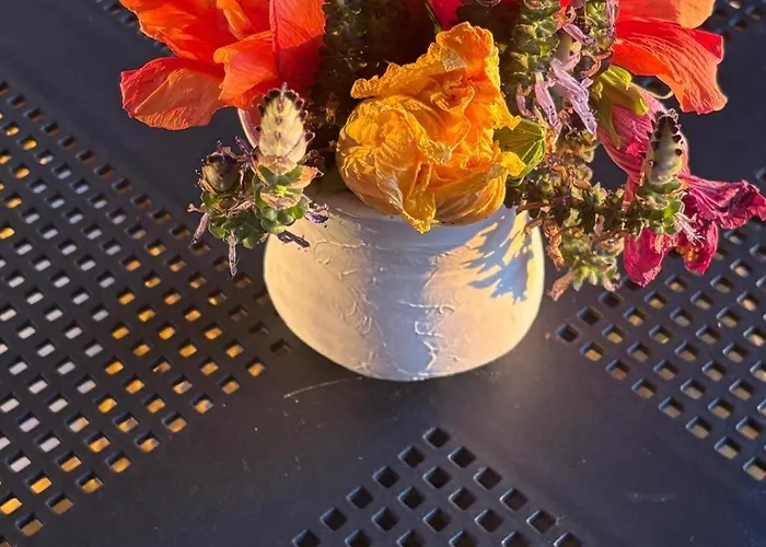 ゲストハウス Bela Vigia 4 ジャルディン・ド・マール