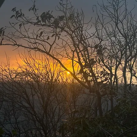 Bela Vigia 4 4* Jardim do Mar