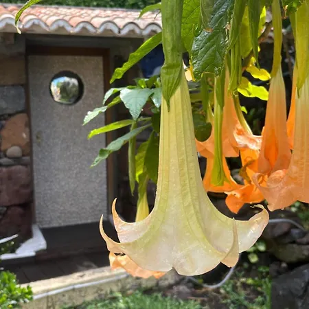 Bela Vigia 4 4* 滨海雅尔丁