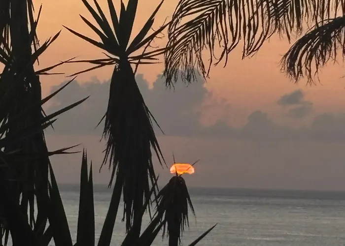 Bela Vigia 4 招待所 4*